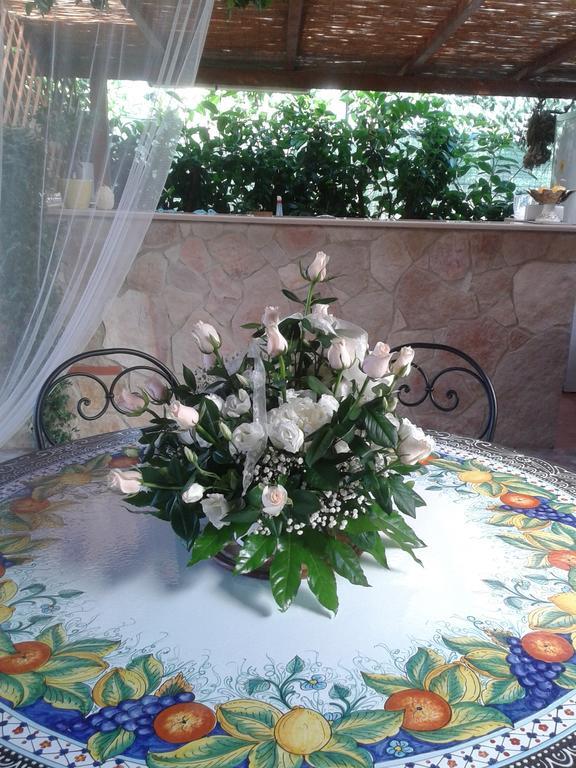 Viola Di Mare Rooms And Parking Termoli Exterior photo