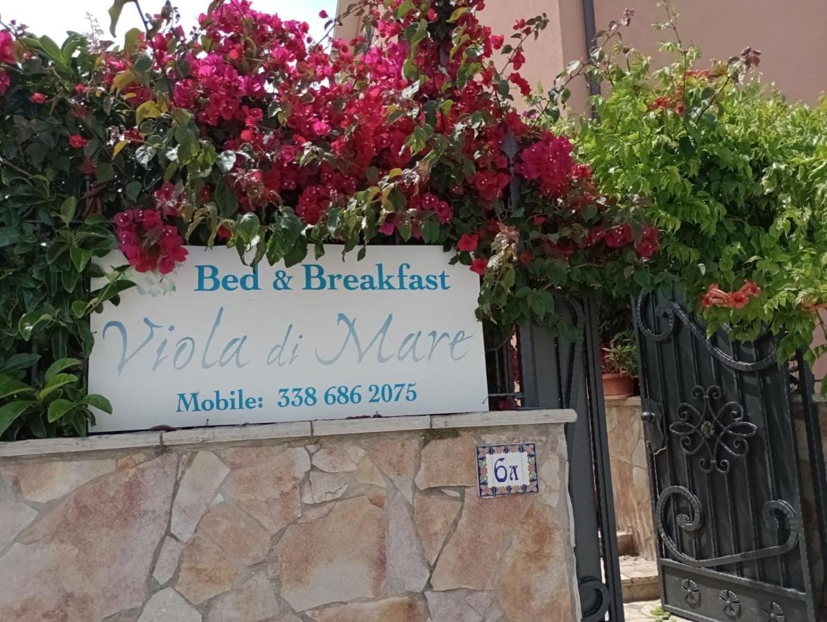 Viola Di Mare Rooms And Parking Termoli Exterior photo
