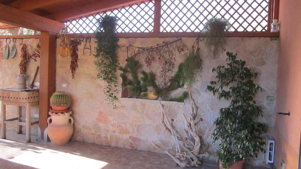 Viola Di Mare Rooms And Parking Termoli Exterior photo